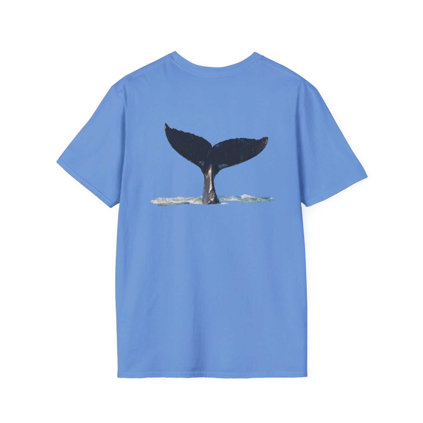 Whale of a time