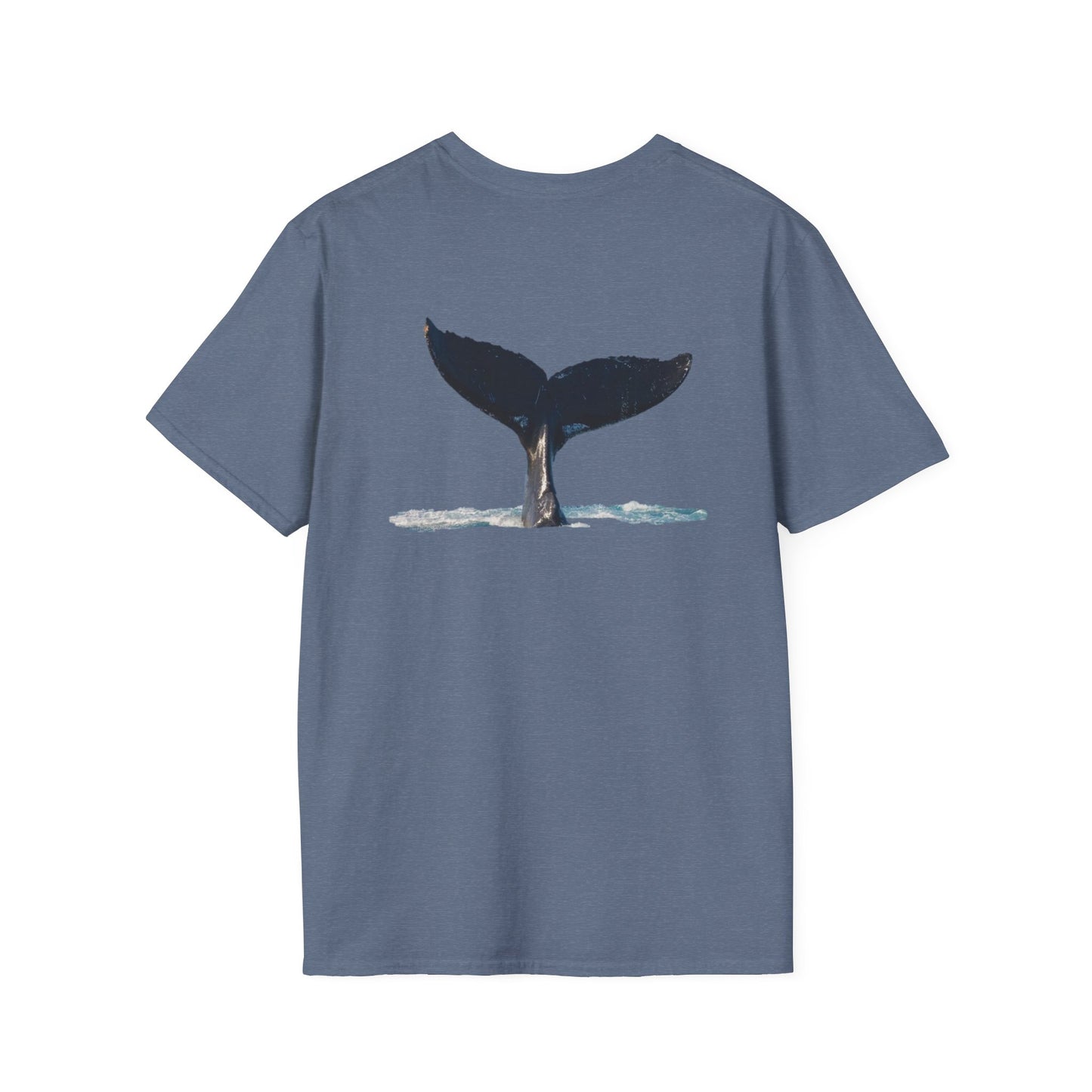 Whale of a time