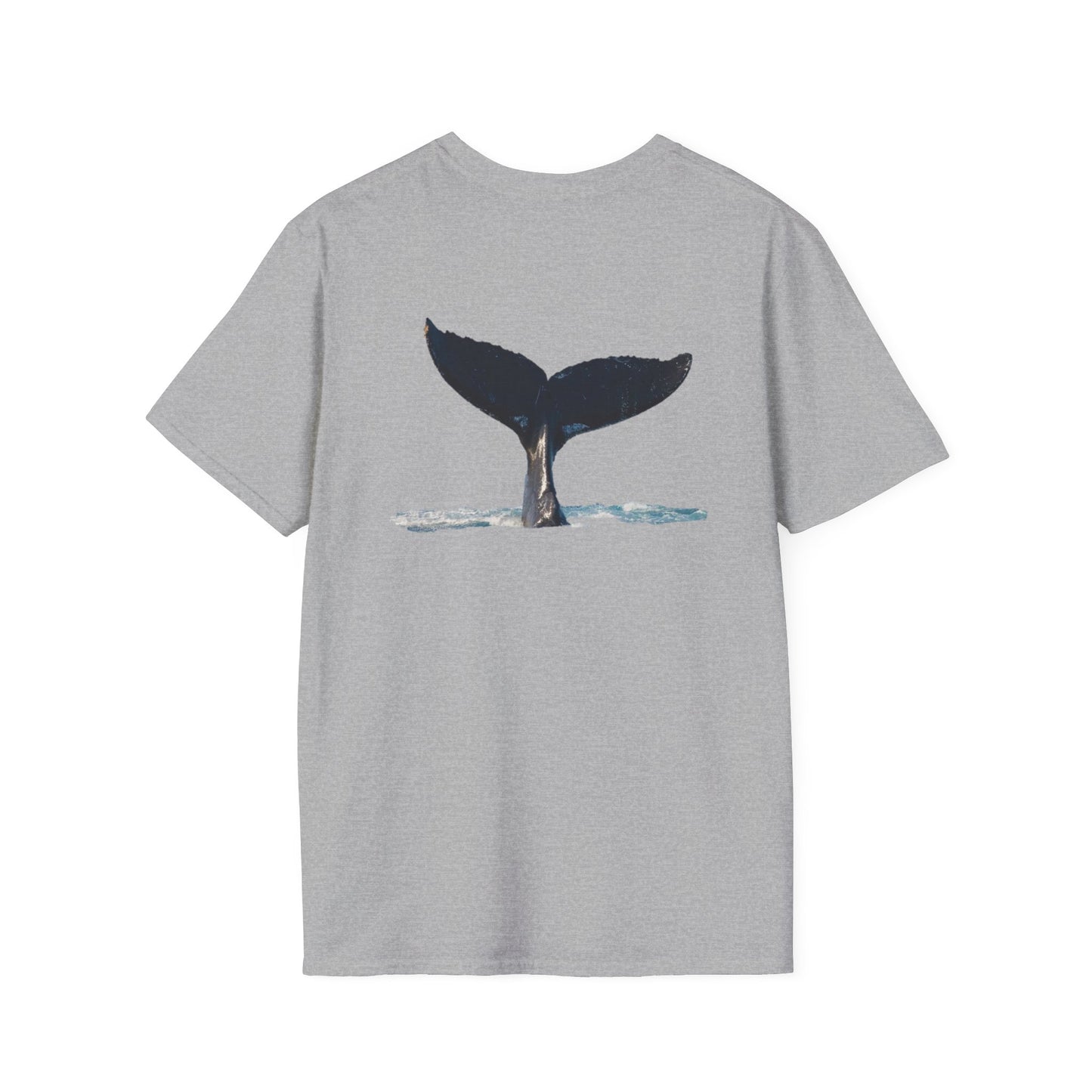 Whale of a time