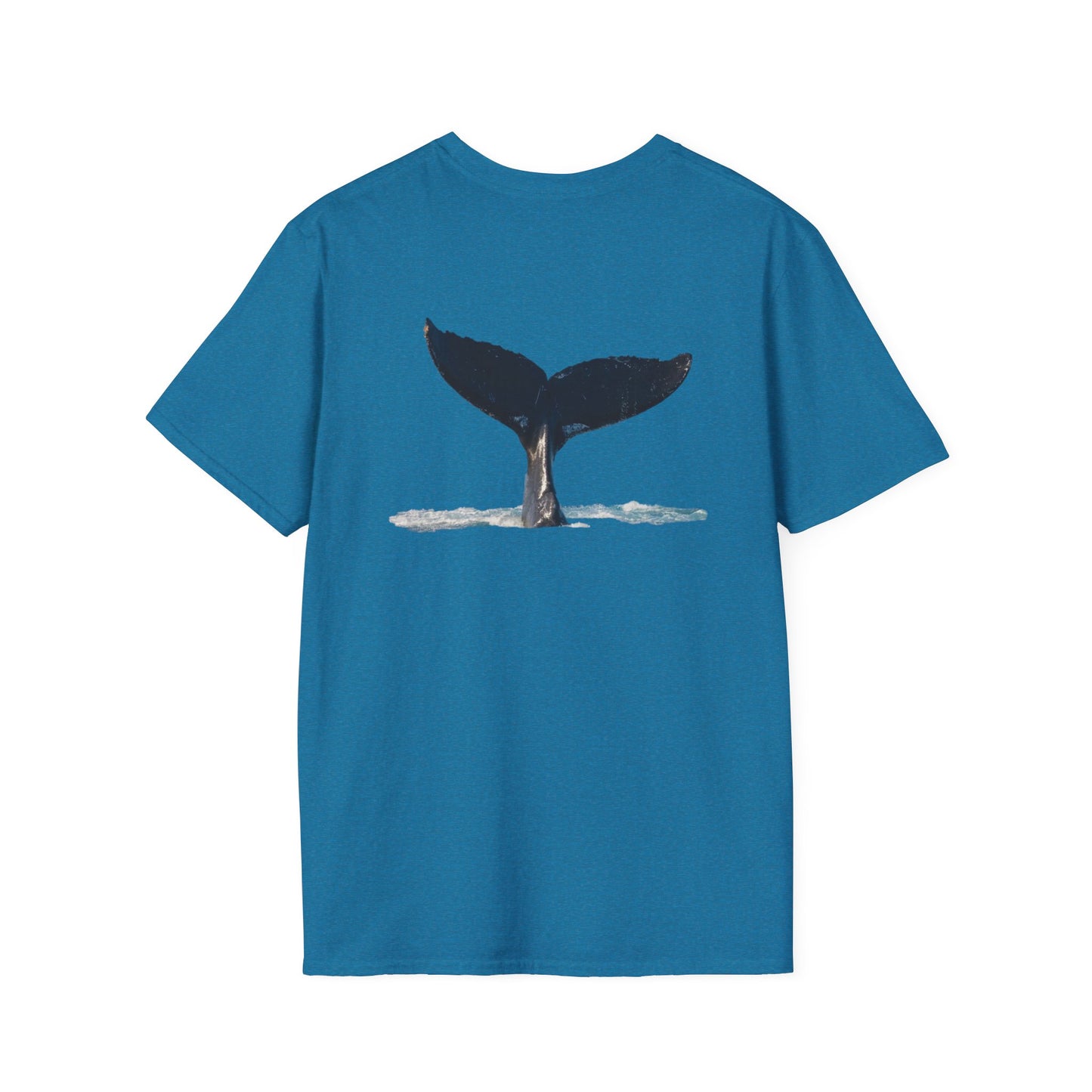 Whale of a time