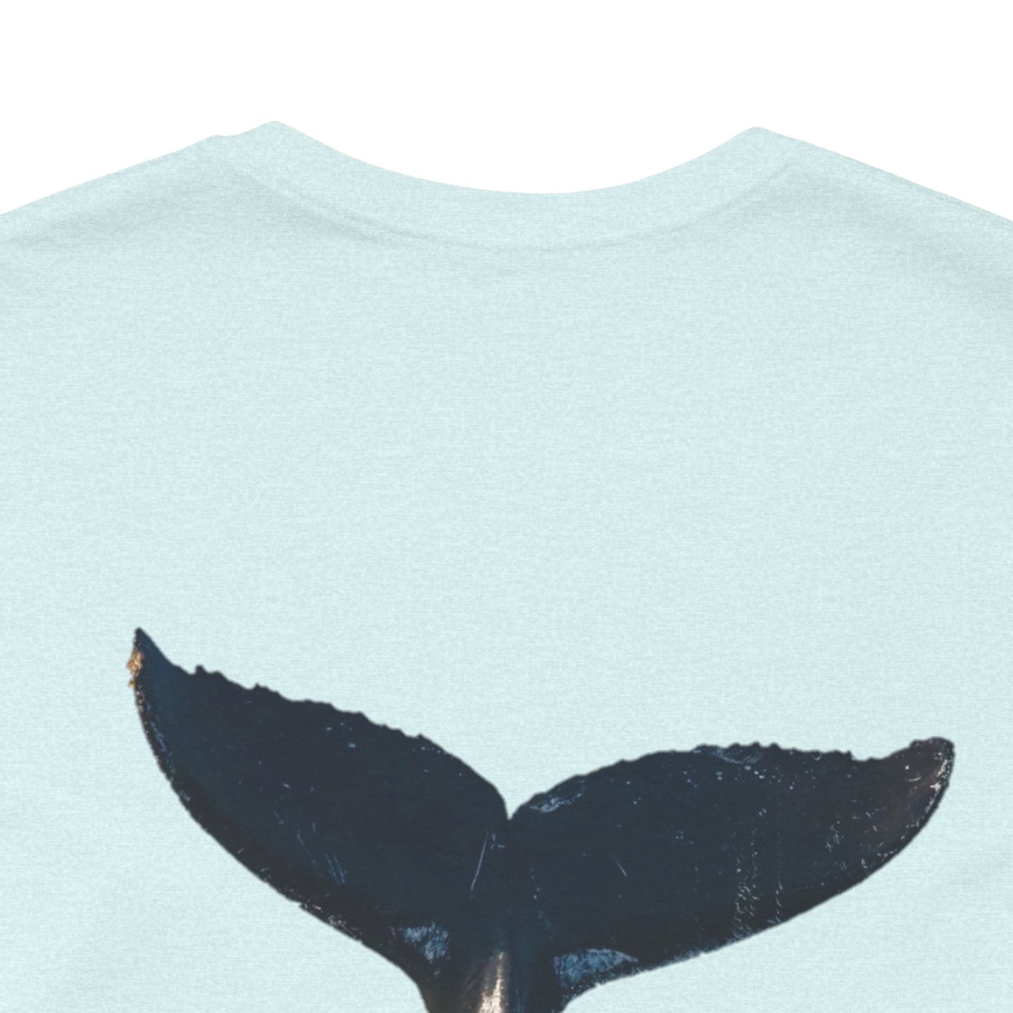 Whale of a good time