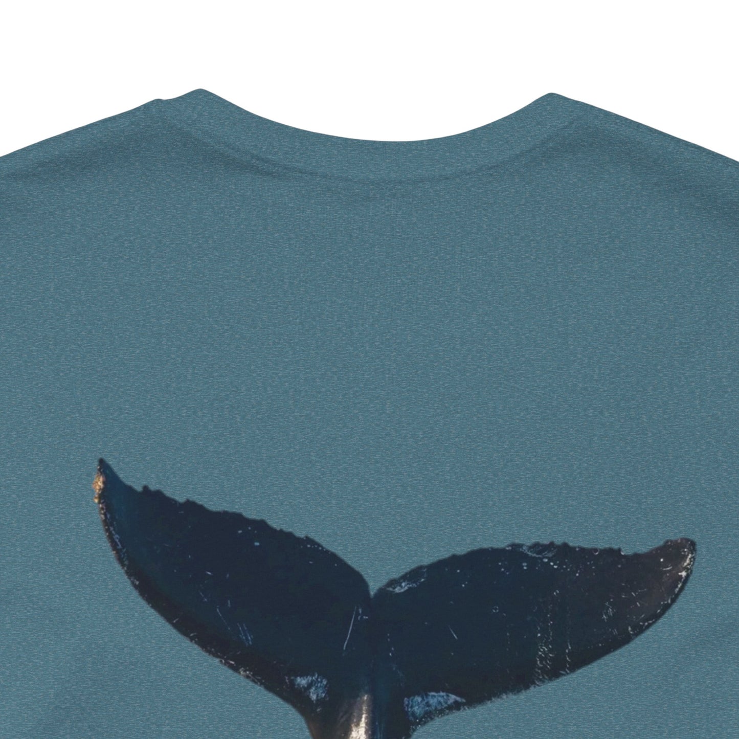 Whale of a good time