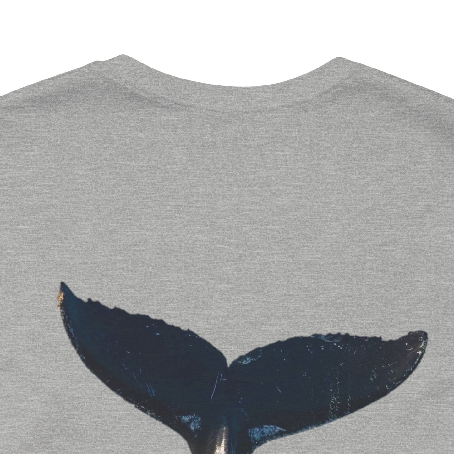 Whale of a good time